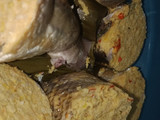 Otak Otak Bandeng by Shinta
