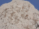 Masa integral fácil para tartas saladas