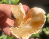 Foto del paso 6 de la receta: CHIPA VEGANO Y SIN GLUTEN ❤️‍🔥