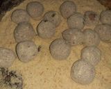 Foto del paso 2 de la receta: Albóndigas thiaguin