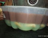 Foto langkah ke 8 dari resep Puding roma kelapa.