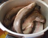 Foto del paso 1 de la receta: Timpu de trucha