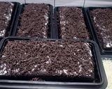 Foto langkah ke 7 dari resep Brownies kukus.