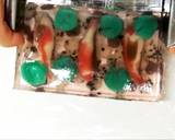 Kanten Wagashi "Carp" recipe step 18 photo