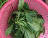Foto langkah ke 1 dari resep Tumis daun ginseng.