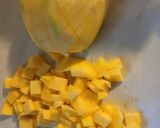 A picture of step 3 of VashBake Blueberry Mango Salad.
