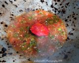 Foto langkah ke 4 dari resep Terong Sambal Teri.