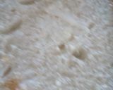A picture of step 4 of Chicken sandwich.