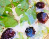 A picture of step 7 of Smooked Eggplant Raita.