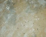 A picture of step 7 of Potato Puff Patties.