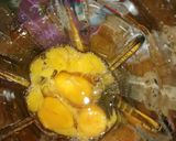 Foto del paso 1 de la receta: Flan de leche condensada
