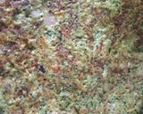 Foto del paso 6 de la receta: Tortilla de Brócoli y verduras # SinHarina