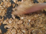 Abon Ikan Kembung
