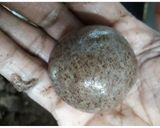 A picture of step 5 of Ragi ladoo.