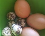 Foto langkah ke 1 dari resep Aneka TELUR REBUS KUAH KALDU Sederhana.