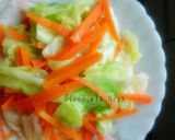 Foto langkah ke 3 dari resep Tumis Kol & Wortel.