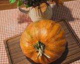 صورة لخطوة 2 من وصفة حساء العدس الأحمر🧡و اليقطين🎃