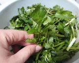 Foto langkah ke 1 dari resep Sayur Salada Air.