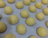 Foto langkah ke 3 dari resep Putri Salju Keju.
