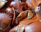 Foto langkah ke 2 dari resep Sea Food Saus Padang.