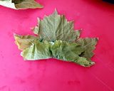 A picture of step 3 of Stuffed Grape Leaves (Dolmadakia).