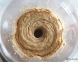 Foto langkah ke 2 dari resep Selai kacang (nut butter).