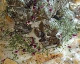 A picture of step 3 of Grape Leaf Fatteh.