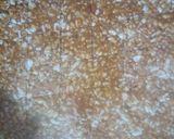 શીંગદાણાની ચીક્કી (Shingdana Chikki Recipe In Gujarati) રેસીપી સ્ટેપ4ફોટો