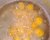Foto langkah ke 8 dari resep Biji salak pumpkin by pelangi.