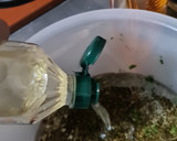 Foto del paso 3 de la receta: Chimichurri casero