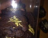 Foto langkah ke 5 dari resep Cookies Chocolate Choco Chips Cheese.