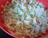 Foto del paso 1 de la receta: Lomo de cerdo con col