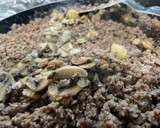 Foto del paso 6 de la receta: Lasaña con bechamel a la G