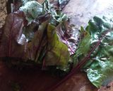 Foto del paso 1 de la receta: Revuelto de Hojas de Remolacha
