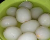 Foto langkah ke 1 dari resep Setup rambutan.