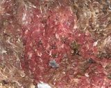 A picture of step 1 of Beef Sandwich.