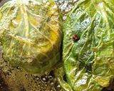 বাঁধাকপির পাতায় মোড়া ভেটকির পাতুরি (badhakopir patay mora bhetkir paturi recipe in bengali) রেসিপি ধাপ - 6 ছবি