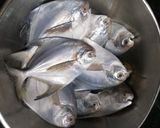 A picture of step 1 of Tareli pomfret macchi.