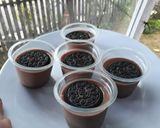 Foto langkah ke 3 dari resep 7. Silky Puding Milo Oreo.
