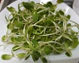 ยำต้นอ่อนทานตะวัน วิธีทำสูตร 1 รูป