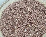 Foto langkah ke 1 dari resep Kacang Atom(kacang telur dari tp ketan).