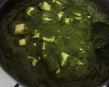 સરળ પાલક પનીર મસાલા (Easy Palak Paneer Masala Recipe In Gujarati) રેસીપી સ્ટેપ7ફોટો