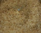 A picture of step 2 of Yellow Rice.