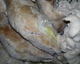 Foto del paso 5 de la receta: Asado de cerdo a la Mario's