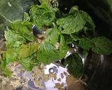 A picture of step 1 of Mint Sattu Drink.