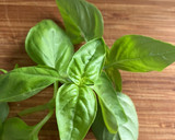 Foto del paso 8 de la receta: Ratatouille