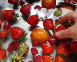 Foto del paso 7 de la receta: Cheesecake de ricotta con frutas de verano
