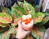 รูปขั้นตอนการทำที่ 3 ของ สมูทตี้สีชมพู (แก้ท้องผูก)