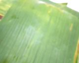 Foto langkah ke 4 dari resep Garang Asem Ati Ampela tanpa santan.