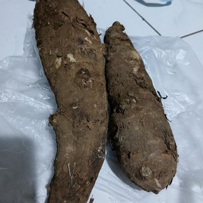 Langkah 1